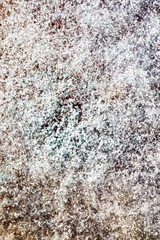 natural mold texture, abstract background
