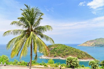 Scenic View of Palm Tree Near Promthep Cape in the Island of Phuket in Thailand