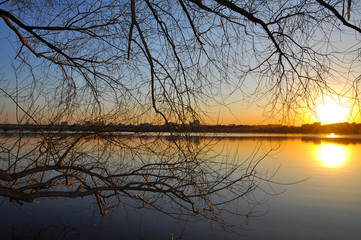Sunset against the background of a river and branches of trees