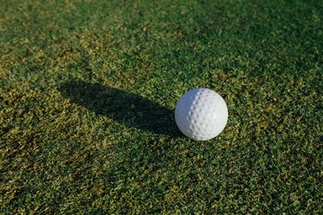 golf ball on green grass, closeup view