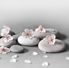 flower and stone zen spa on grey background