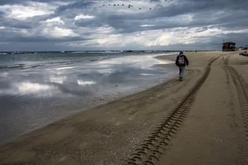 Naklejka premium Перелетные птицы.