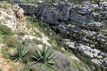 Landscape around the Blue Grotto an the Mediterranean Sea, Malta 