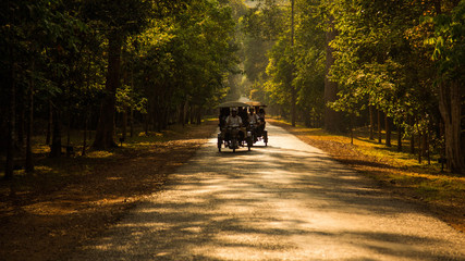Obraz premium Tuk Tuk
