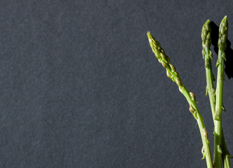 asparagus with various backgrounds