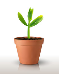 Single green realistic sprout in a pot isolated on green backgrond. Vector illustration. For poster, banner, eco concept. Water drop on leaf