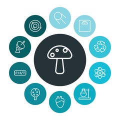 health, science, nature Infographic Colorful outline Icons Set. Contains such Icons as  heart,  fresh, space,  green,  environment,  antenna, laboratory, tree and more. ..Fully Editable. Pixel Perfect