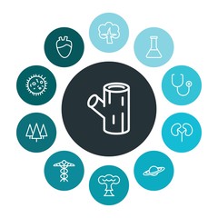 health, science, nature Infographic Colorful outline Icons Set. Contains such Icons as  smoke,  science,  pine,  medicine,  experiment, medicine,  color, wood and more. ..Fully Editable. Pixel Perfect
