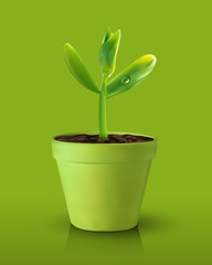 Single green realistic sprout in a pot isolated on green backgrond. Vector illustration. For poster, banner, eco concept. Water drop on leaf