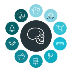 health, science, nature Infographic Colorful outline Icons Set. Contains such Icons as  forest, night, nature,  bone,  disabled,  organic,  ecology,  pine and more. ..Fully Editable. Pixel Perfect