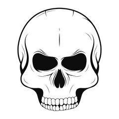 Vector skull in monochrome and vintage tattoo style. Black human skull isolated on white background