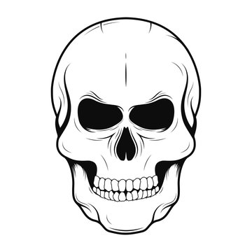 Vector skull in monochrome and vintage tattoo style. Black human skull isolated on white background
