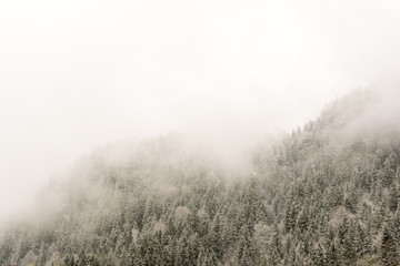 Fototapeta na wymiar Schnee und Wolken über Wald in den Bergen