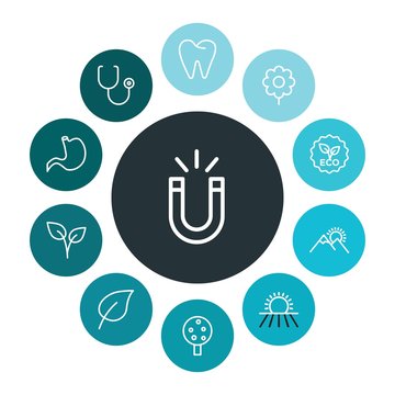 health, science, nature Infographic Colorful outline Icons Set. Contains such Icons as  force, stomach,  sun,  ecology, green,  sunset,  fruit,  flower, tree and more. ..Fully Editable. Pixel Perfect