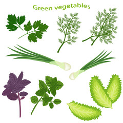 Green vegetables isolated on white background. Fresh basil, green onion, fresh dill, lettuce leaf, green parsley. Vector illustration of leaf vegetables.