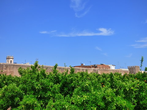 El Conjunto fortificado de Mascarell (Castellon,España) conocido también como Murallas de Mascarell, sito en el núcleo poblacional de Mascarell, dentro del municipio de Nules, Plana Baja 
