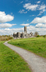 Fototapeta na wymiar Quin abbey in Ireland