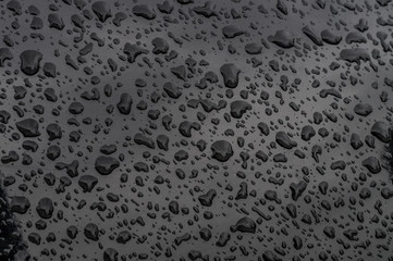 Wassertropfen perlen von einer schwarz lackierten karossierie ab.