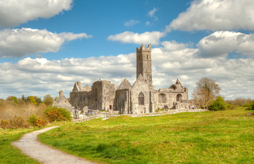 Fototapeta na wymiar Quin abbey in Ireland