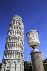 Tower of Pisa (Tuscany, Italy)