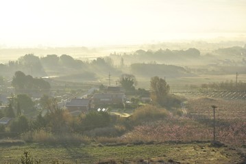 PAisaje mediterr&aacute;neo, con neblina matinal, frutales y pinos.
