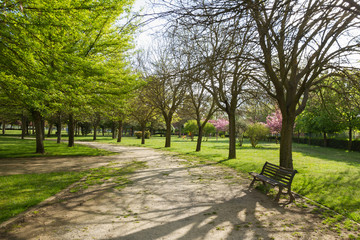 Parque público primaveral con caminos entre arboles de distintas especies