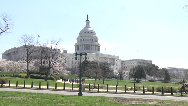 Washington DC, USA - Capital Building in Spring with Field Trip