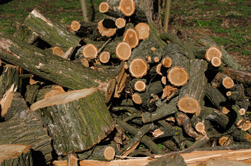 Stack of construction raw timber in sawmill