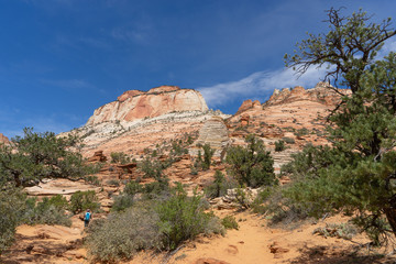 Valley Trail