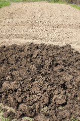 Pile of fresh animal manure at the end of plowed and prepared for planting vegetables agricultural field
