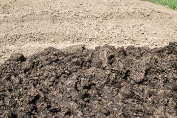 Pile of fresh animal manure at the end of plowed and prepared for planting vegetables agricultural field