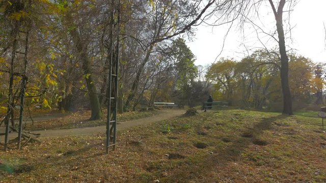 An autumn day in a park