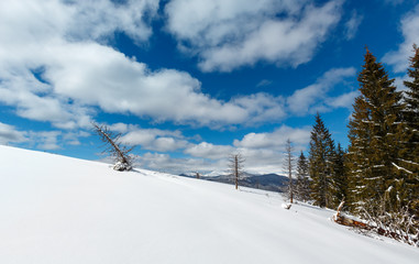 Winter snowy Carpathian mountains, Ukraine