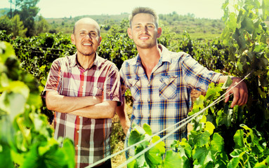 men standing among grapes trees