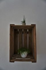 Wooden wine box with plants as decoration