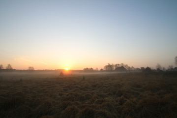 Sonnenaufgang über der Heide