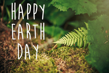 happy earth day text, concept. beautiful fern leaf and moss  in woods. fern leaves in sunny forest. environmental protection . earth protection