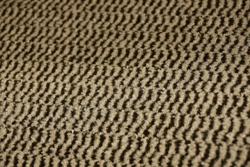 striped fabric texture from a piece of woolen carpet