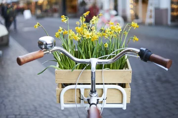 Blumenrad © edele-fotografie