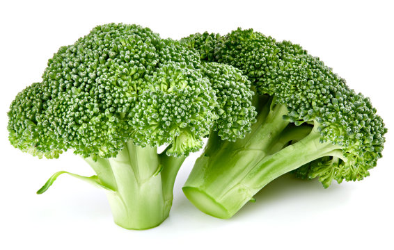 raw broccoli isolated