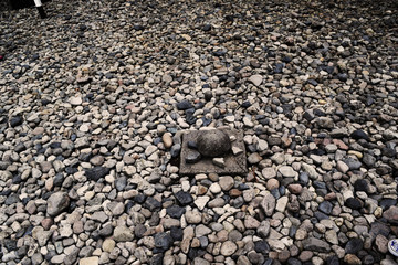 Stone turtle, Nikko, Japan