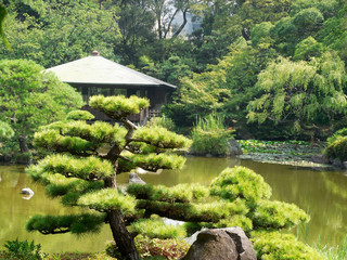Traditional Japanese Garden, Osaka, Japan