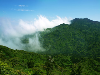 Scenery of Yakushima, Japan