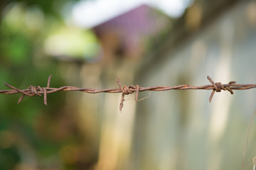 barbed wire with burred image of field, selective focus