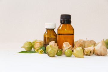 Cardiospermum halicacabum aromatic medicinal plant