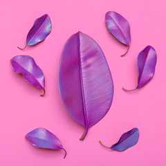  Set Purple Leaf Minimal fashion design