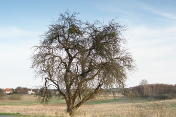 Różnowo © Rafa