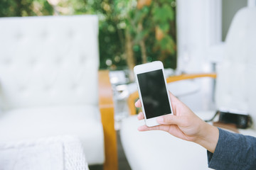 Closeup of woman hands using smartphone