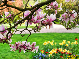 Frühlingserwachen im Parc de l'Orangerie, Straßburg, Frankreich