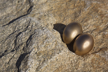 Fototapeta premium Pair of gold eggs exposed and vulnerable on sunlit rock
